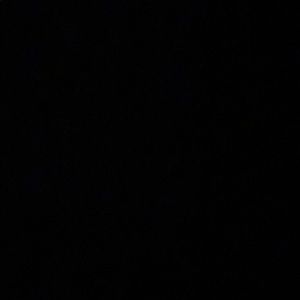 Meet your Posher, Reagan